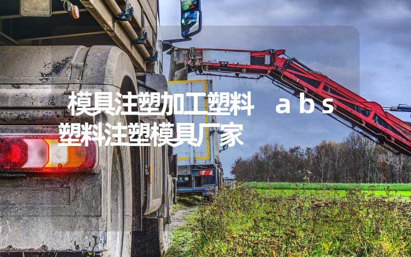 模具注塑加工塑料 abs塑料注塑模具厂家
